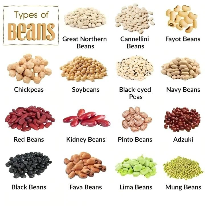 Vacuum-Tumbled Legumes Vacuum-Tumbled Legumes