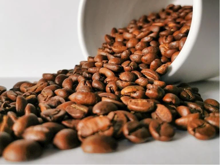 Vacuum Skin Packaging: The Vacuum Skin Packaging: The